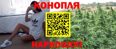 индика Берёзовский