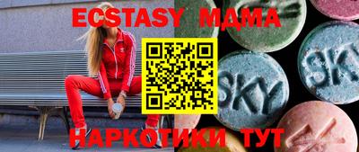 стаф Бийск