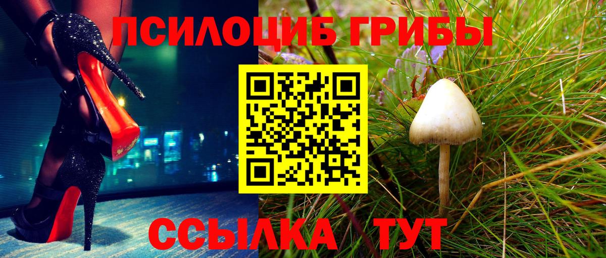 Дербент  Галлюциногенные грибы MAGIC MUSHROOMS  купить закладку  Вход с VPN 