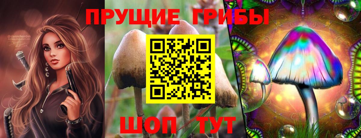 Псилоцибиновые грибы MAGIC MUSHROOMS Дербент